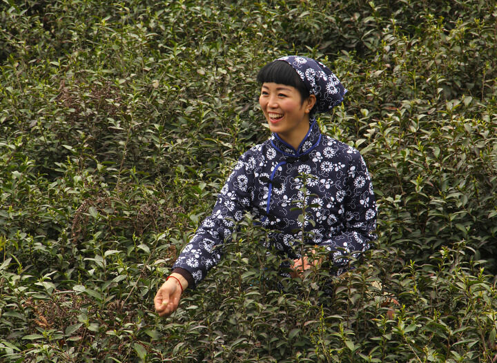 热门推荐4